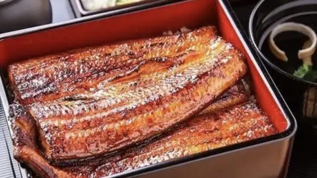 【2026年最新版】大阪ミナミで食べたいうなぎ屋さん特集！